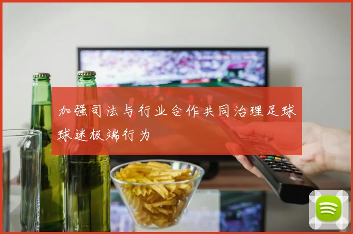 加强司法与行业合作共同治理足球球迷极端行为